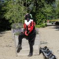 IMG_1631800