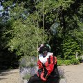 IMG_1631803