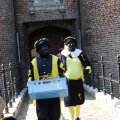 IMG_1631806