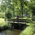 IMG_1631842