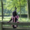 IMG_1631847
