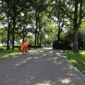 IMG_1631912
