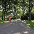 IMG_1631913