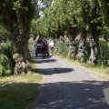 DSC021_06-07-2019