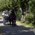 DSC027_06-07-2019