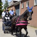 DSC029_06-07-2019