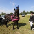 IMG_1643747