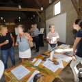 IMG_1643863
