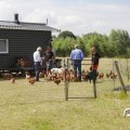 IMG_1643915