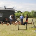 IMG_1643916