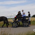 IMG_1643993