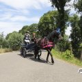 IMG_1644007