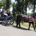 IMG_1644011
