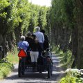 IMG_1644018