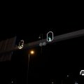 IMG_1651525