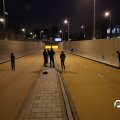 IMG_1651548