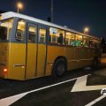 IMG_1651674_0