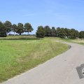 DSC025_22-08-2019