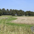 DSC026_22-08-2019