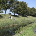 DSC029_22-08-2019