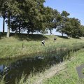 DSC031_22-08-2019