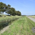 DSC032_22-08-2019