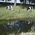 DSC035_22-08-2019