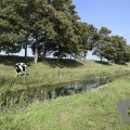DSC036_22-08-2019