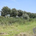 DSC037_22-08-2019