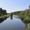 DSC040_22-08-2019