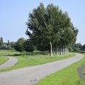 DSC045_22-08-2019