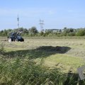 DSC057_22-08-2019
