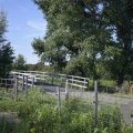 DSC077_22-08-2019