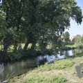 DSC078_22-08-2019
