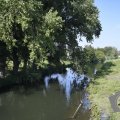 DSC079_22-08-2019