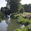 DSC080_22-08-2019
