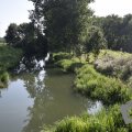 DSC081_22-08-2019