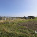 IMG_1652876