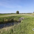 IMG_1652882