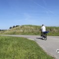 IMG_1652889