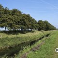 IMG_1652902