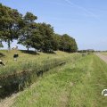 IMG_1652918