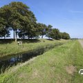 IMG_1652921
