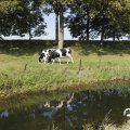 IMG_1652924