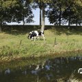 IMG_1652925
