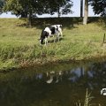 IMG_1652928