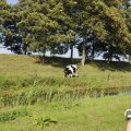 IMG_1652931