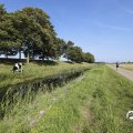 IMG_1652933