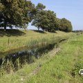 IMG_1652935
