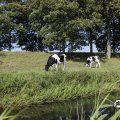IMG_1652936